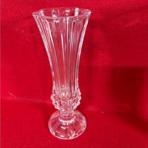Elegant Clear Glass Vase